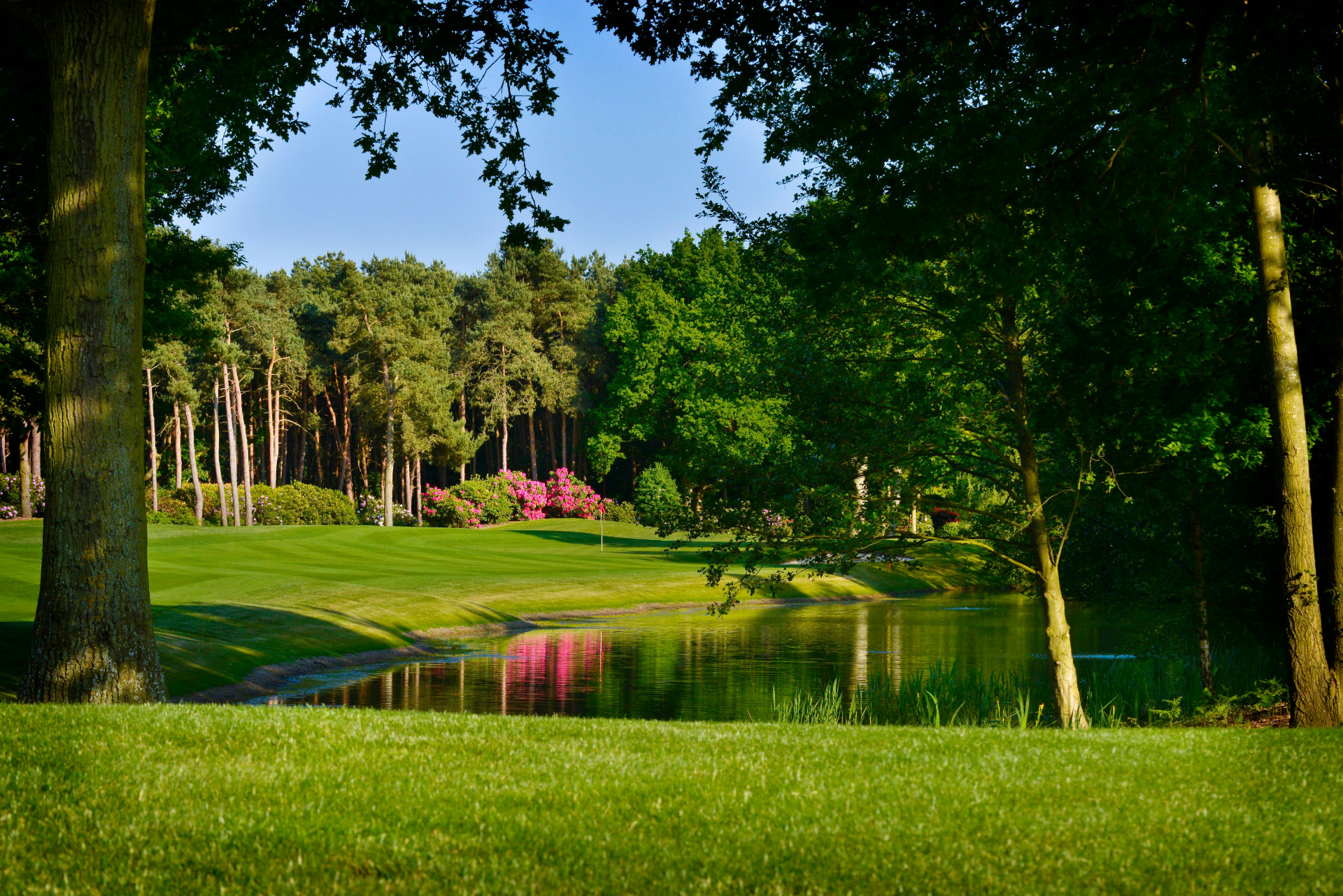 Golf in London, England